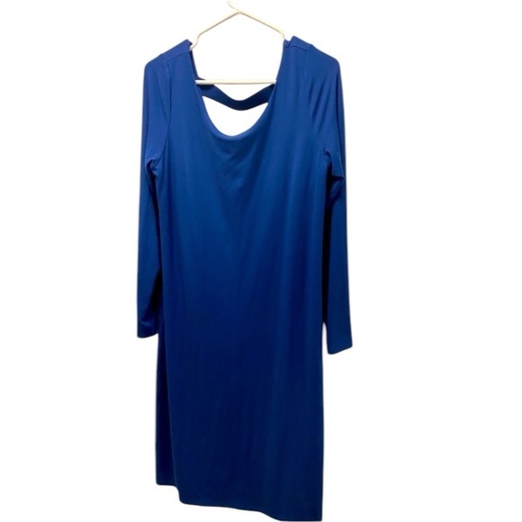 Eileen Fisher blue long sleeve dress - Picture 1 of 4